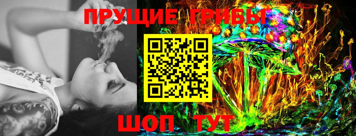 Псилоцибиновые грибы Psilocybine cubensis Ртищево