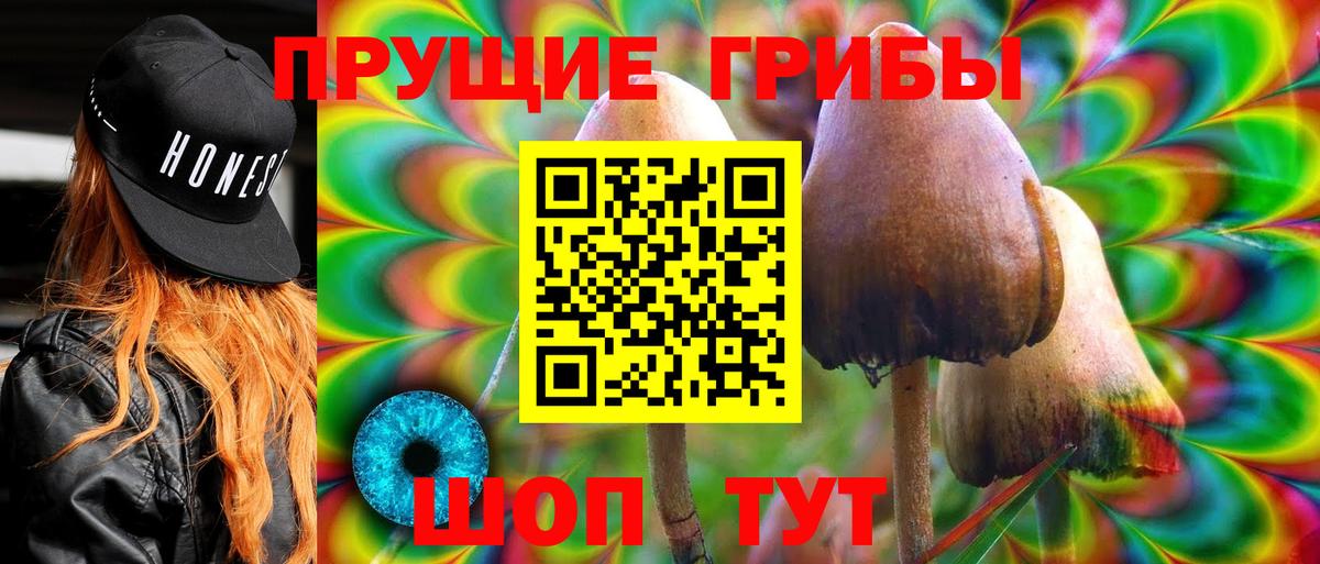 Ртищево  Галлюциногенные грибы Psilocybe  Вход с VPN  Псилоцибиновые грибы ЛСД 